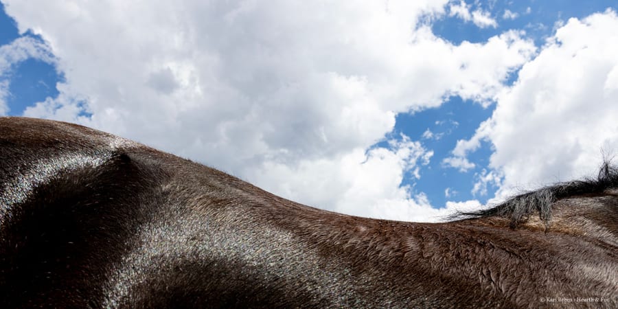 Along the Ridgeline