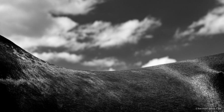 Earth Light & Silence